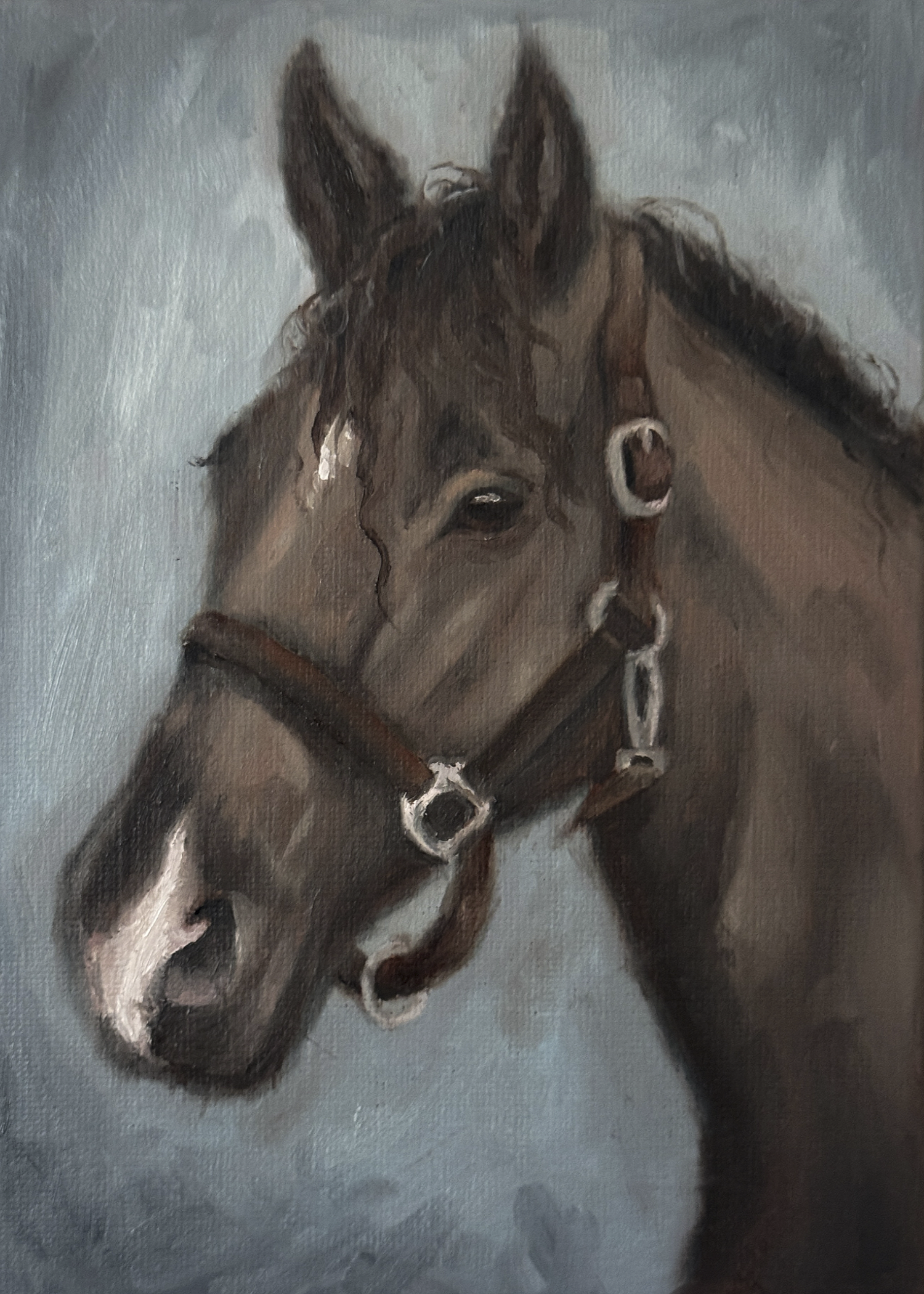 Painting of a horse with a bridle on a gray background