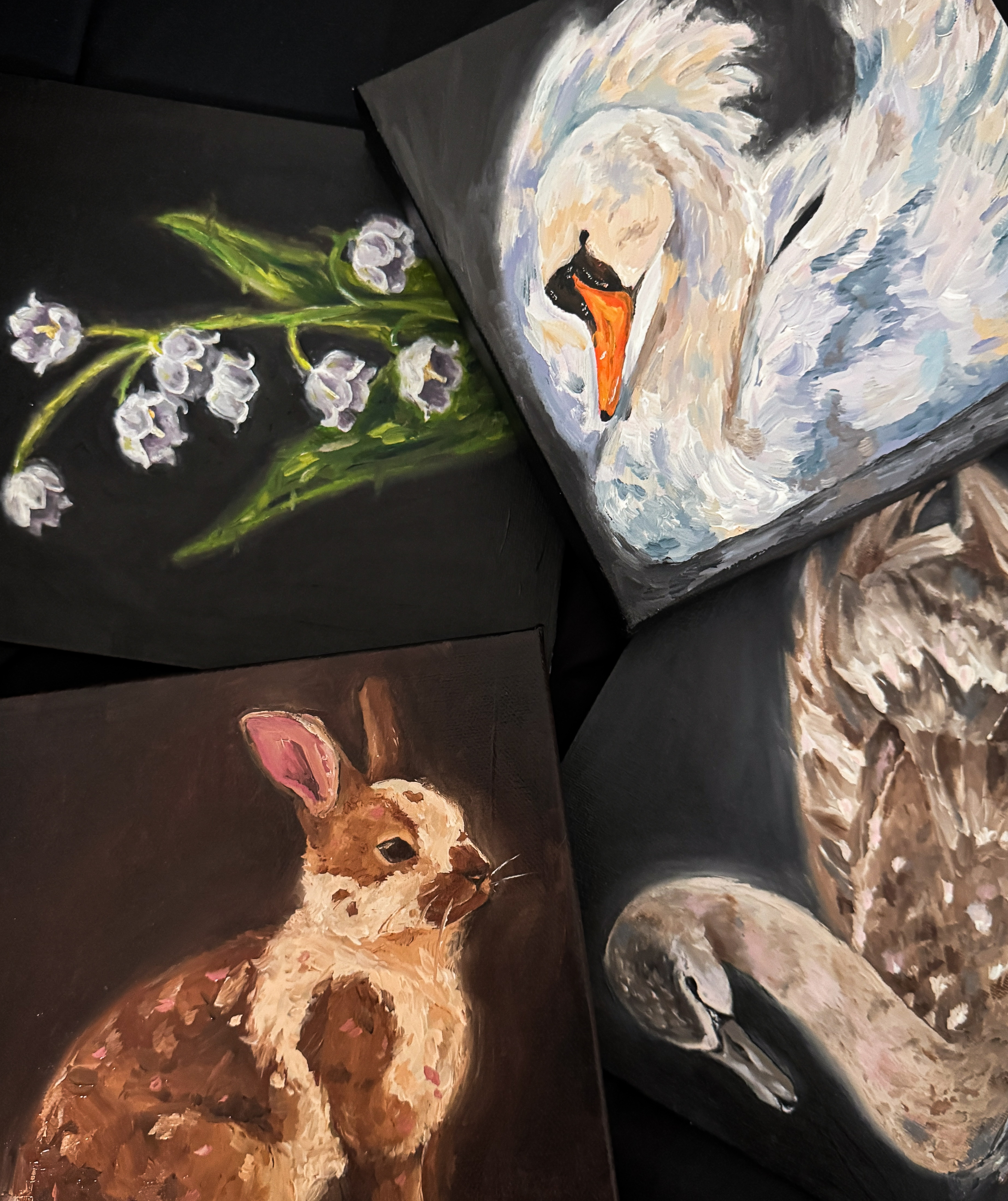 Four paintings of a swan, rabbit, and flowers on dark backgrounds.