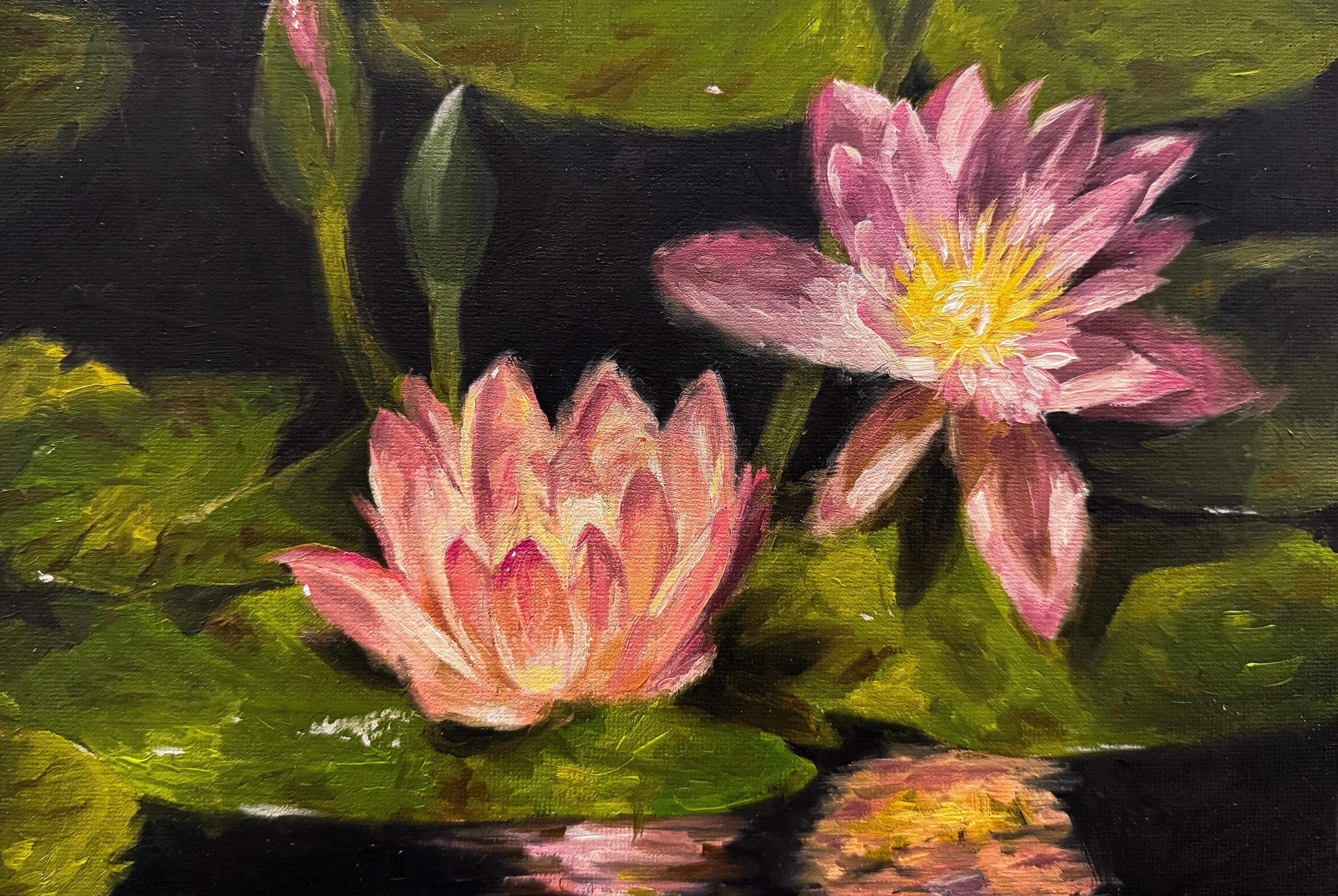 Oil painting of two pink water lilies with green leaves on a dark background