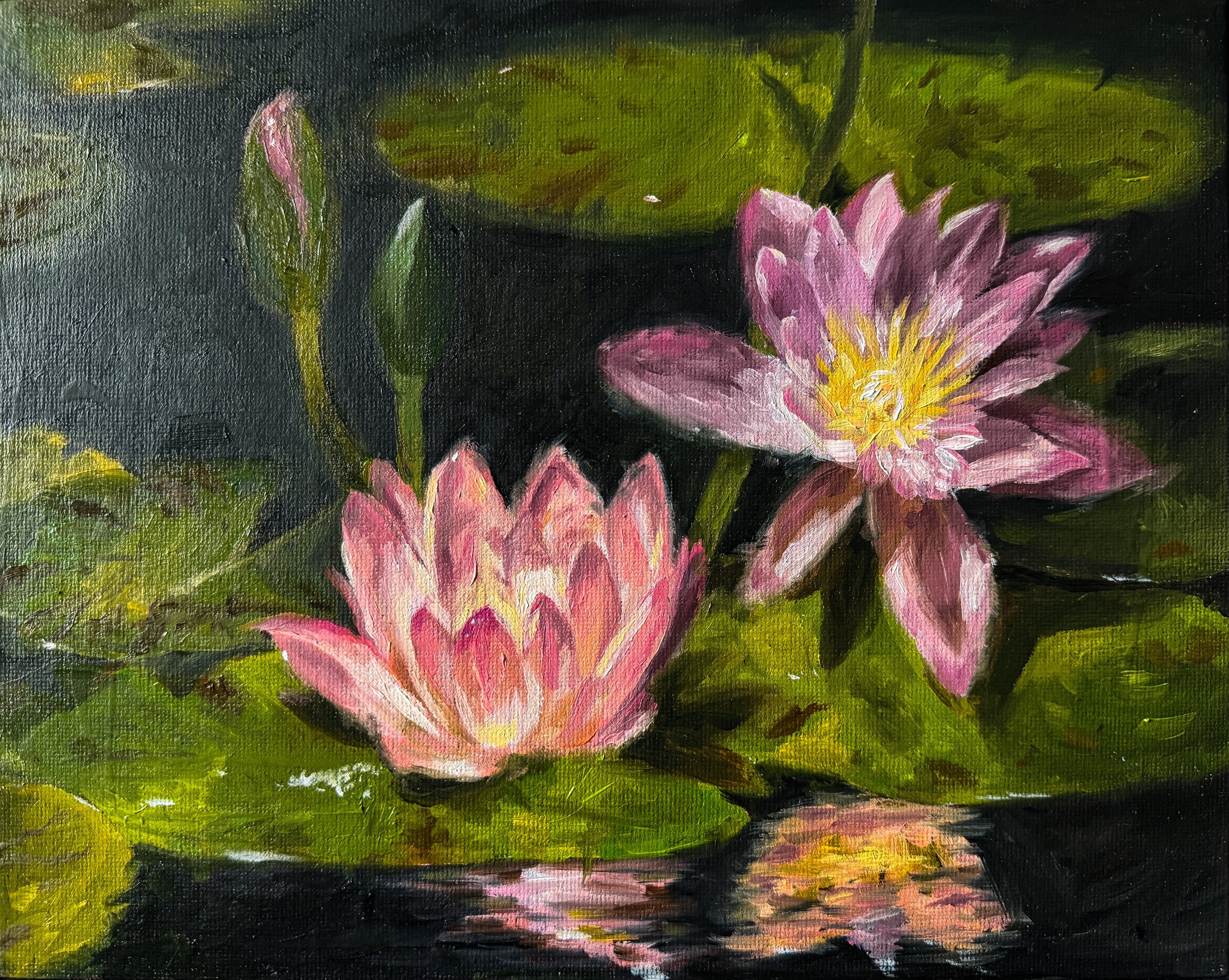 Oil painting of two pink water lilies with green leaves on a dark background