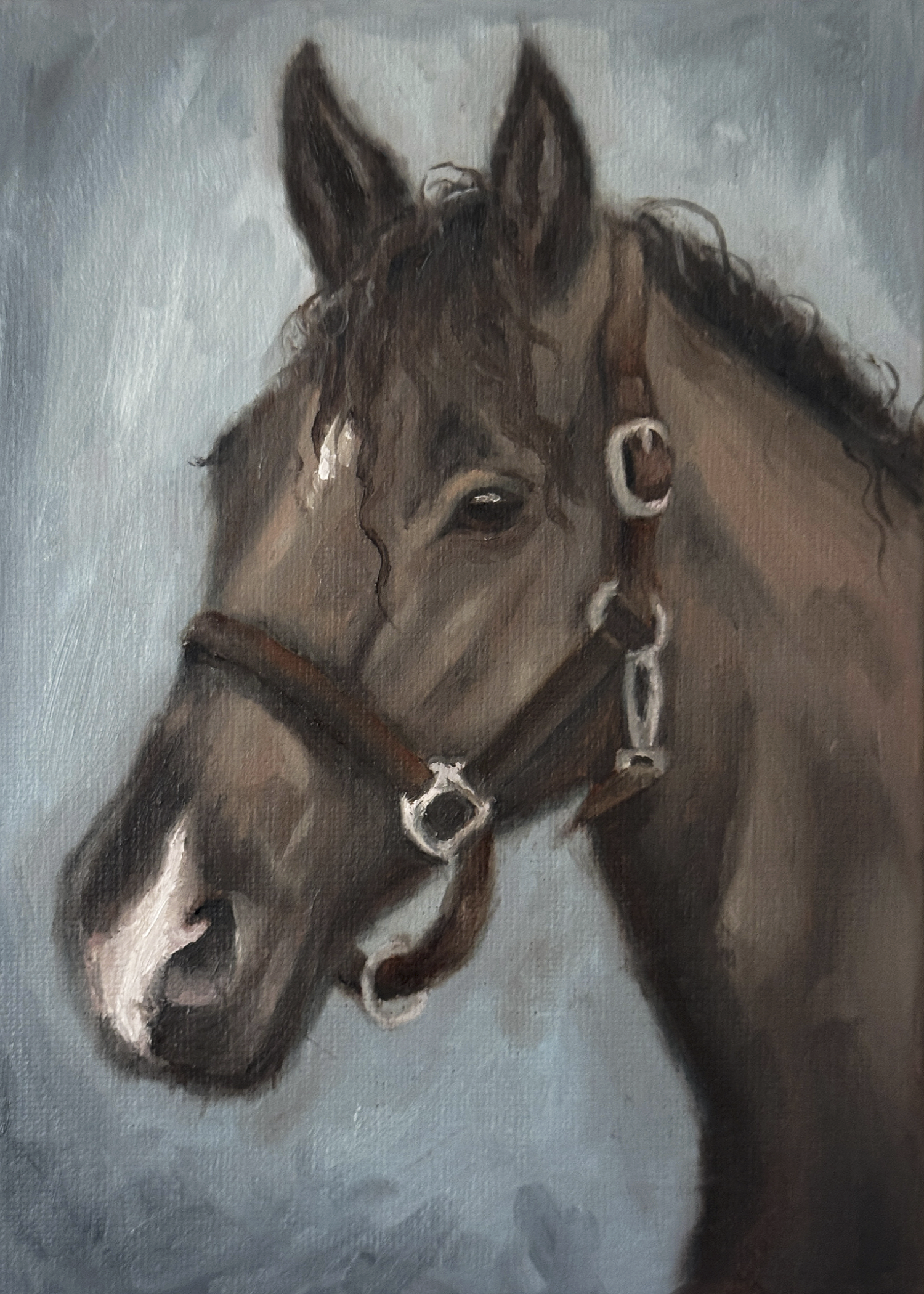 Art Print of a dark Brown horse with a bridle with a light blue background