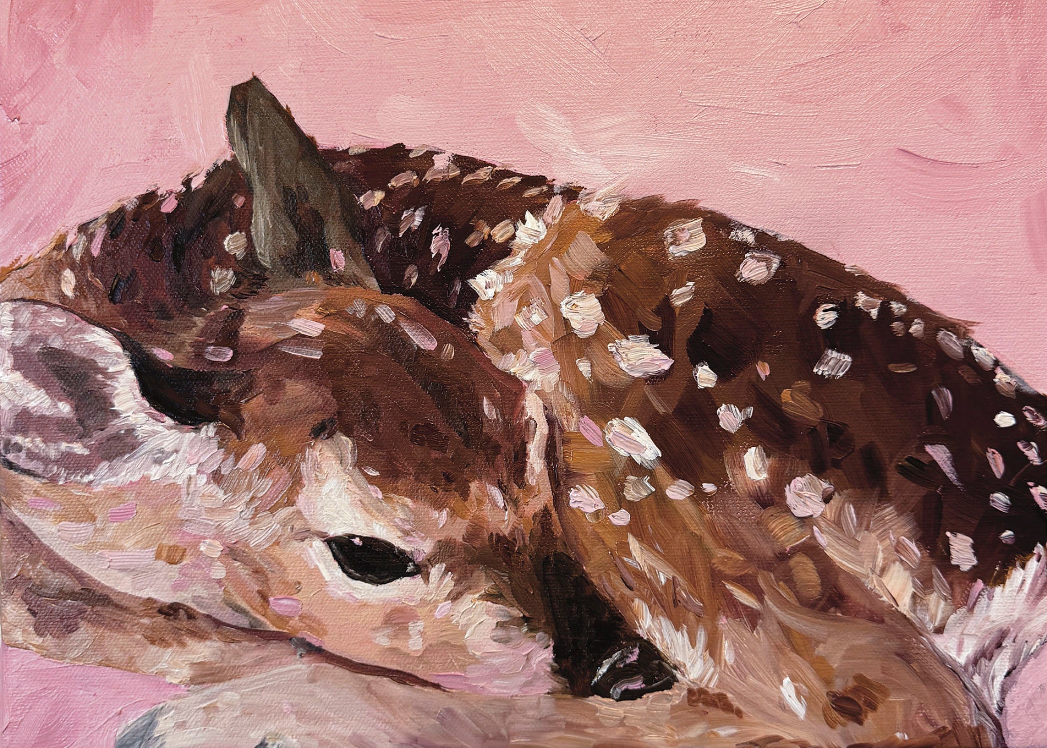Art Print of a Fawn lying down with a pink background