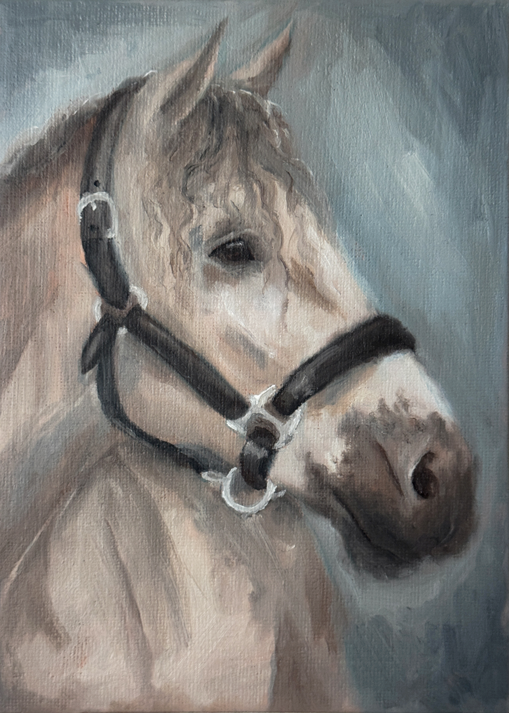 Art Print of a horse's head with a bridle on a gray background