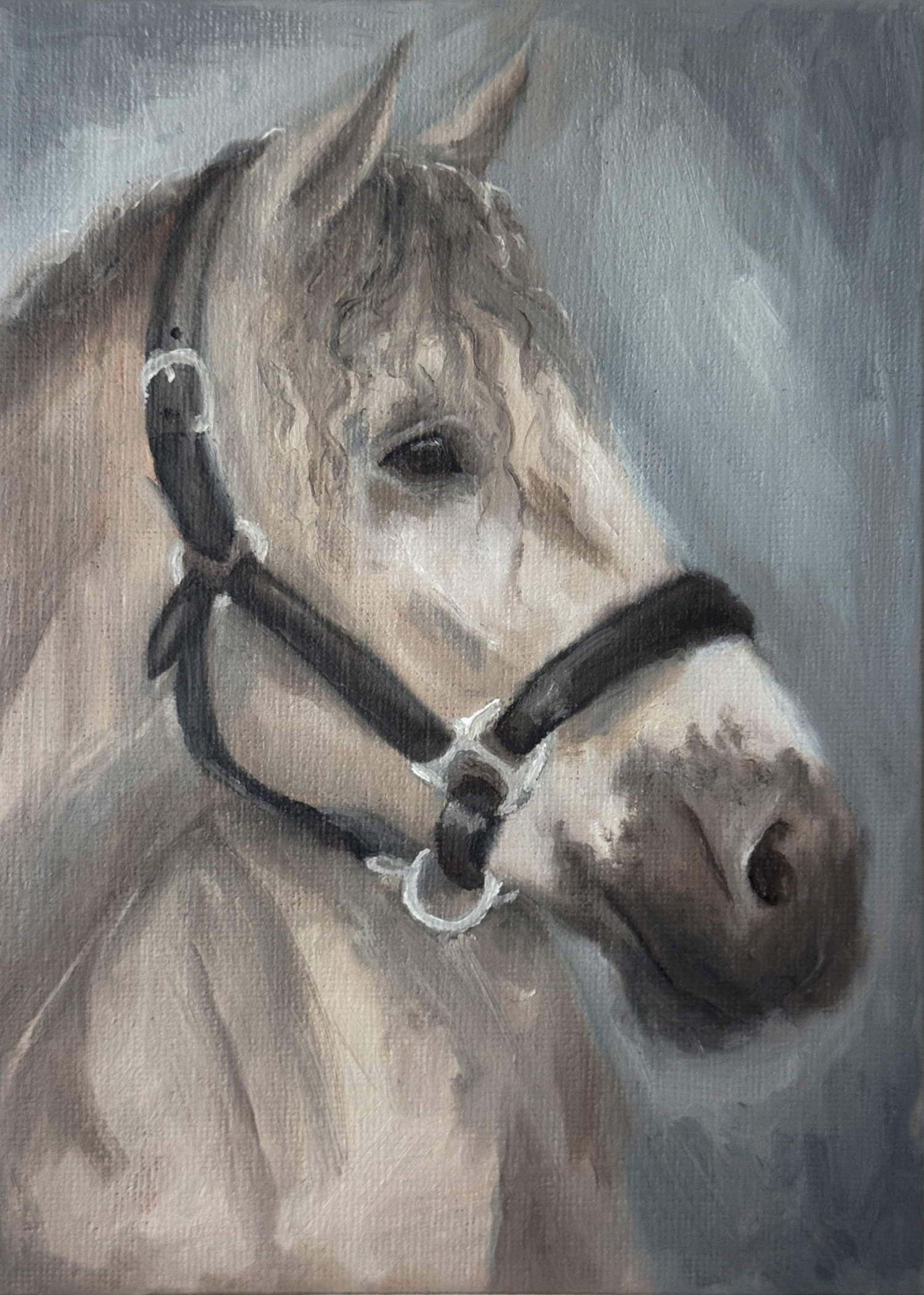 Art Print of a horse's head with a bridle on a gray background