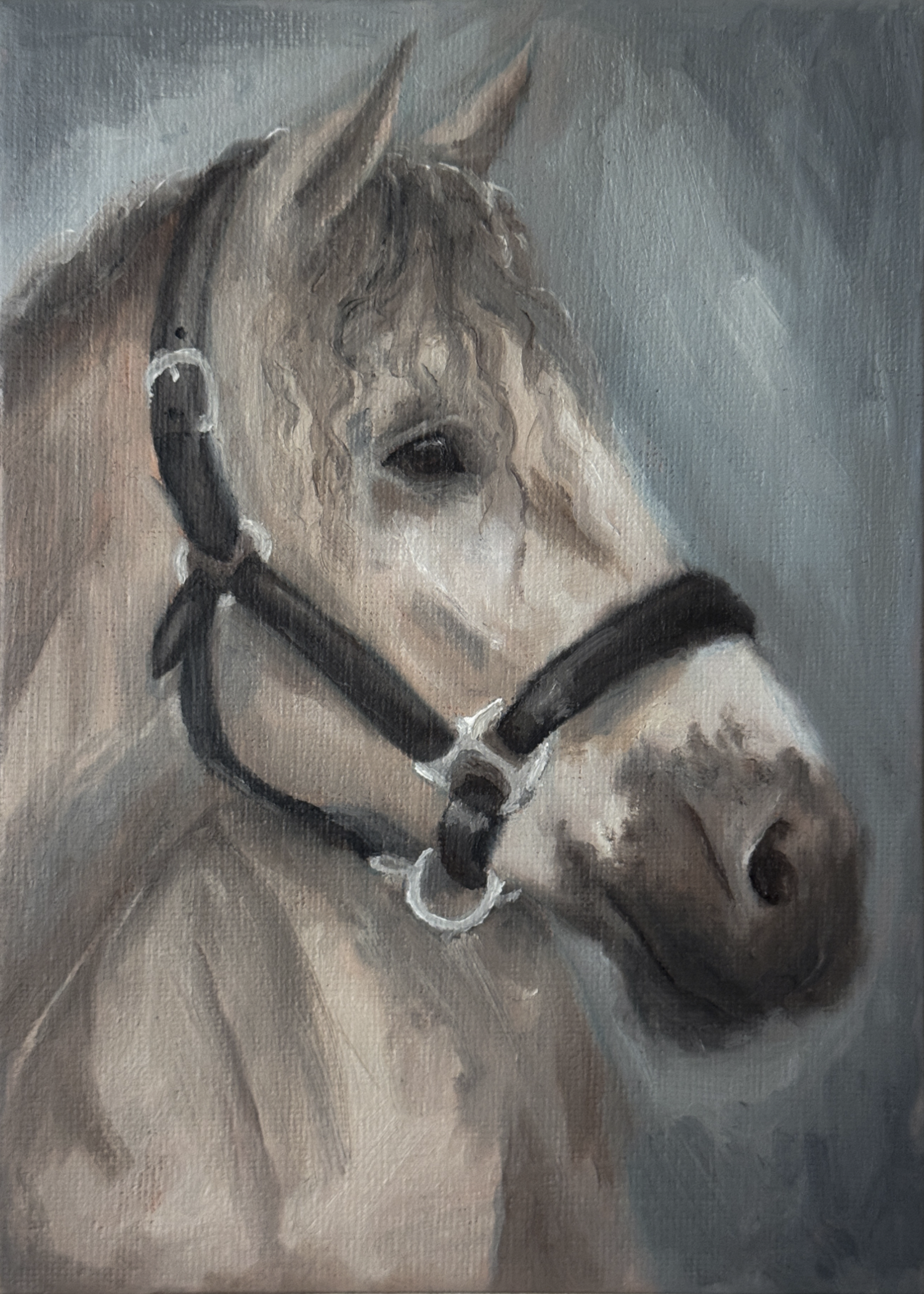 Painting of a horse wearing a bridle on a gray background