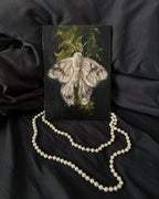 Painting of a moth on a dark surface with a pearl necklace laying besides it