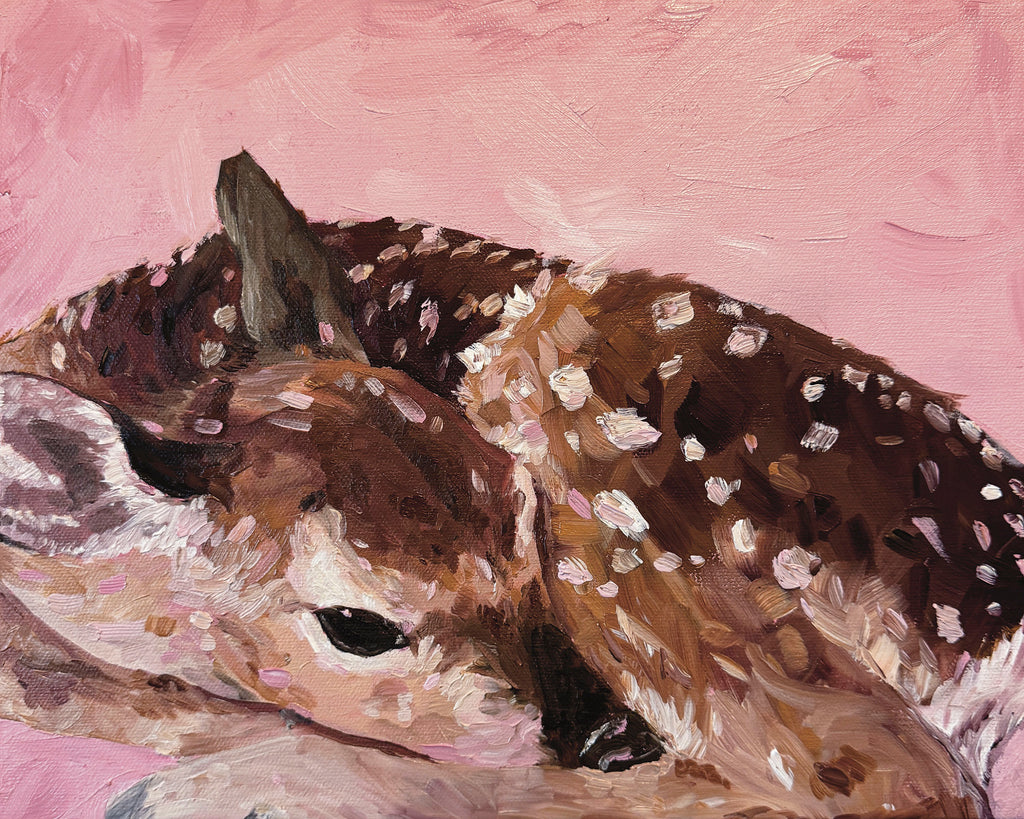 Art Print of a Fawn lying down with a pink background