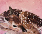 Art Print of a Fawn lying down with a pink background