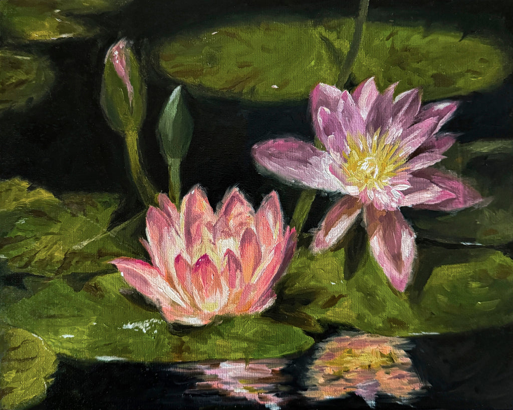 Art Print of Two pink water lilies on green lily pads with a dark background